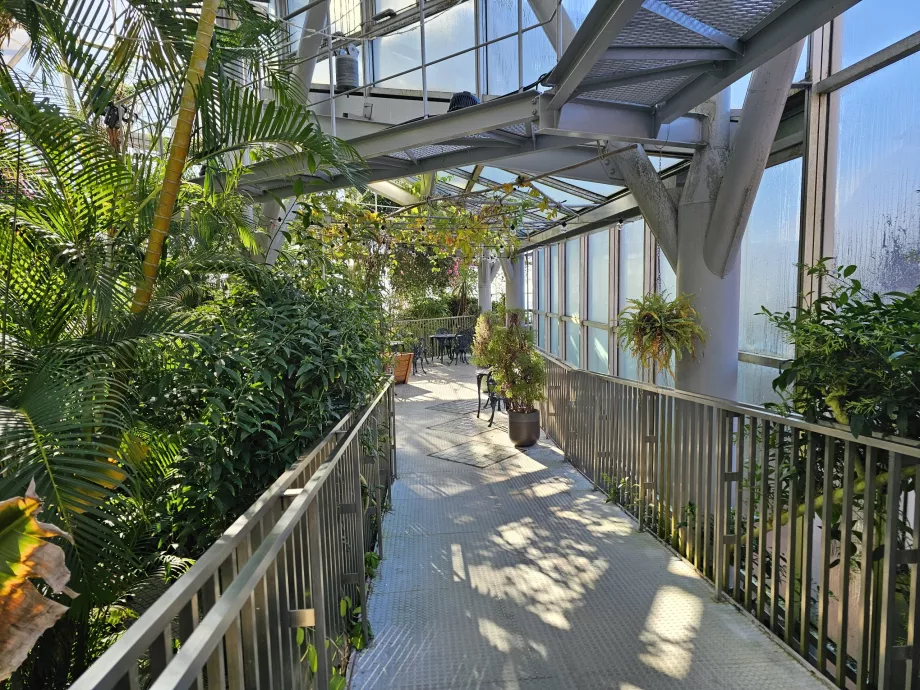 Sera de la Nunobiki Herb Gardens