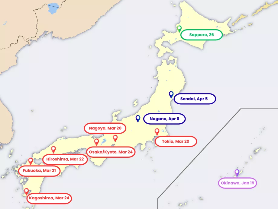 Harta înfloririi sakura