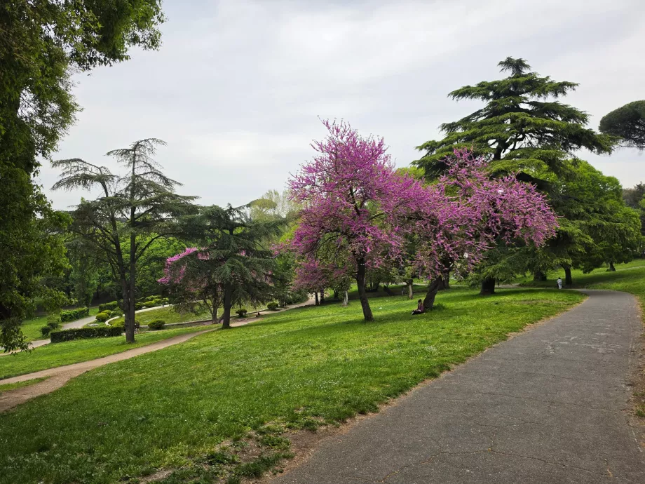 Parcul Villa Borghese