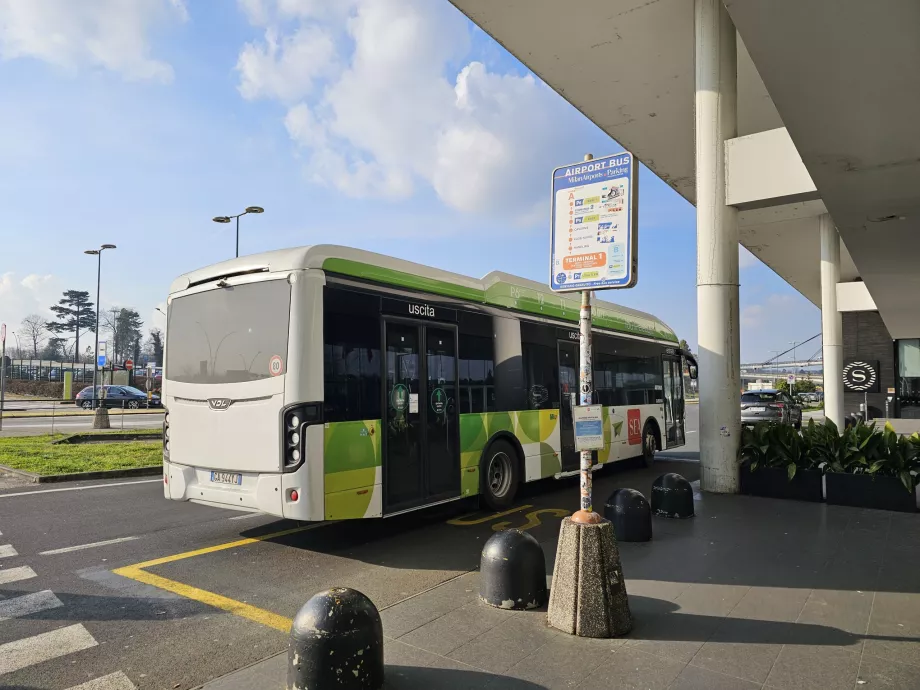 Stație de autobuz Free-shuttle la Terminalul 1