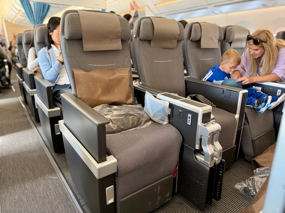 Locuri în Premium Economy