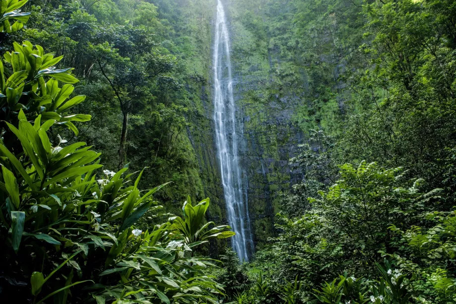 Cascada Waimoku