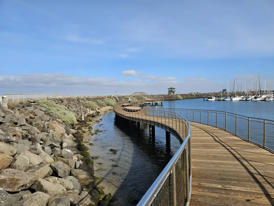 Traseu de observare a pinguinilor pe St. Kilda Pier