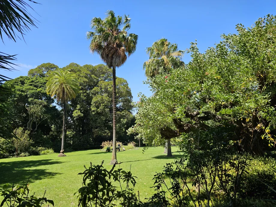 Grădinile Botanice Regale