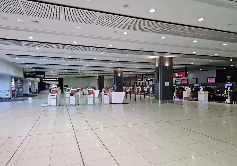 Terminalul 3, check-in