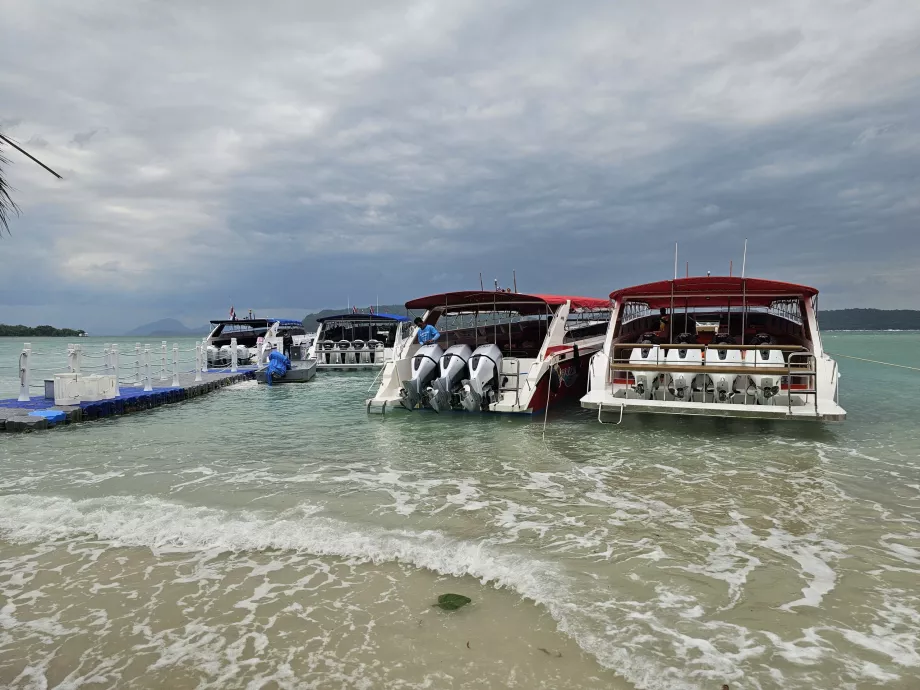 Bărci turistice pe Insula Pig