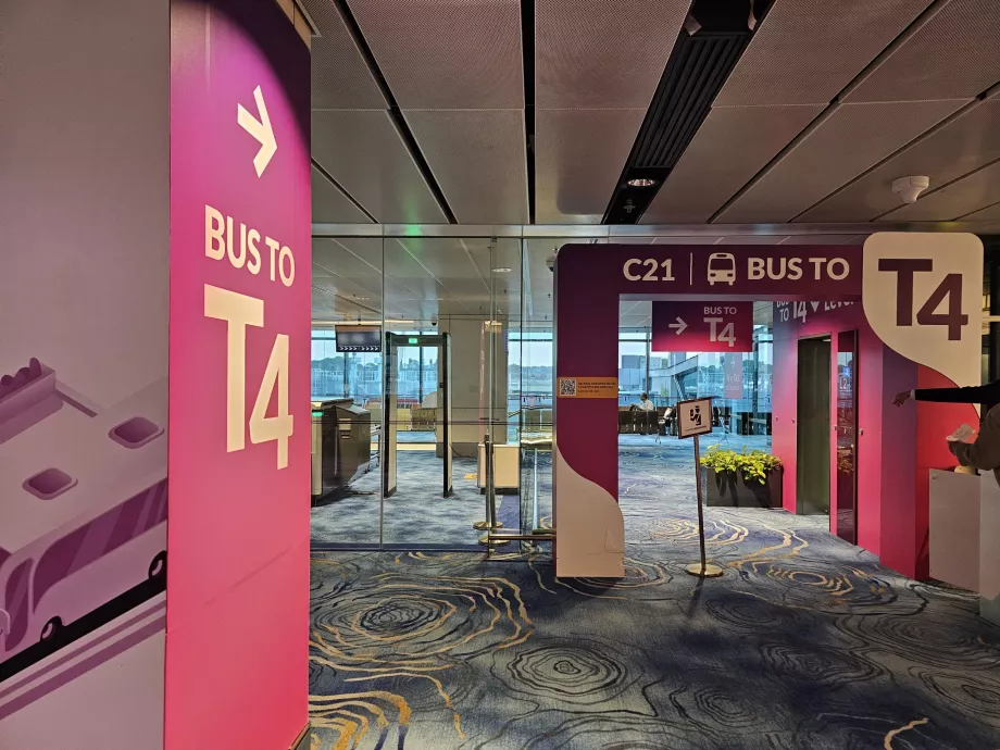 Autobuz de tranzit de la Terminalul 1 la Terminalul 4 (la poarta C21)