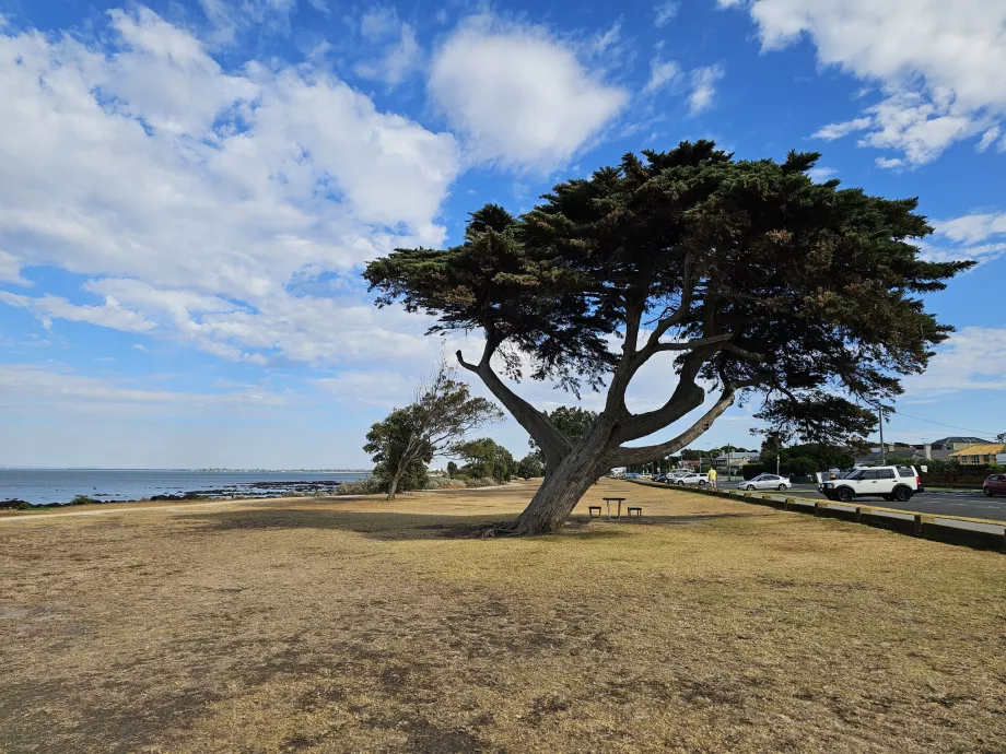 Parcul Williamstown