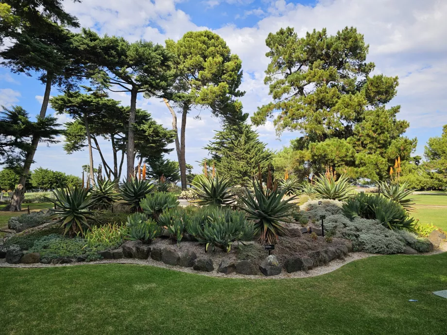 Grădinile Botanice Williamstown