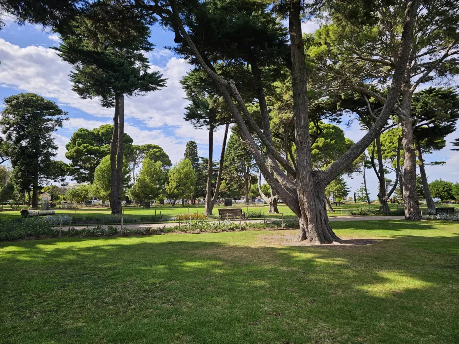 Grădinile Botanice Williamstown