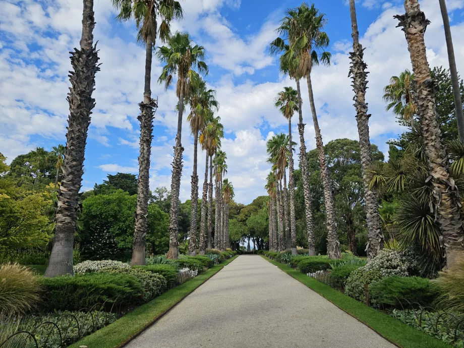 Grădinile Botanice Williamstown