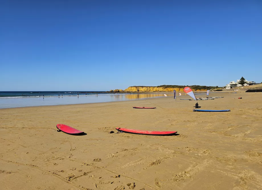 Surfing Torquay