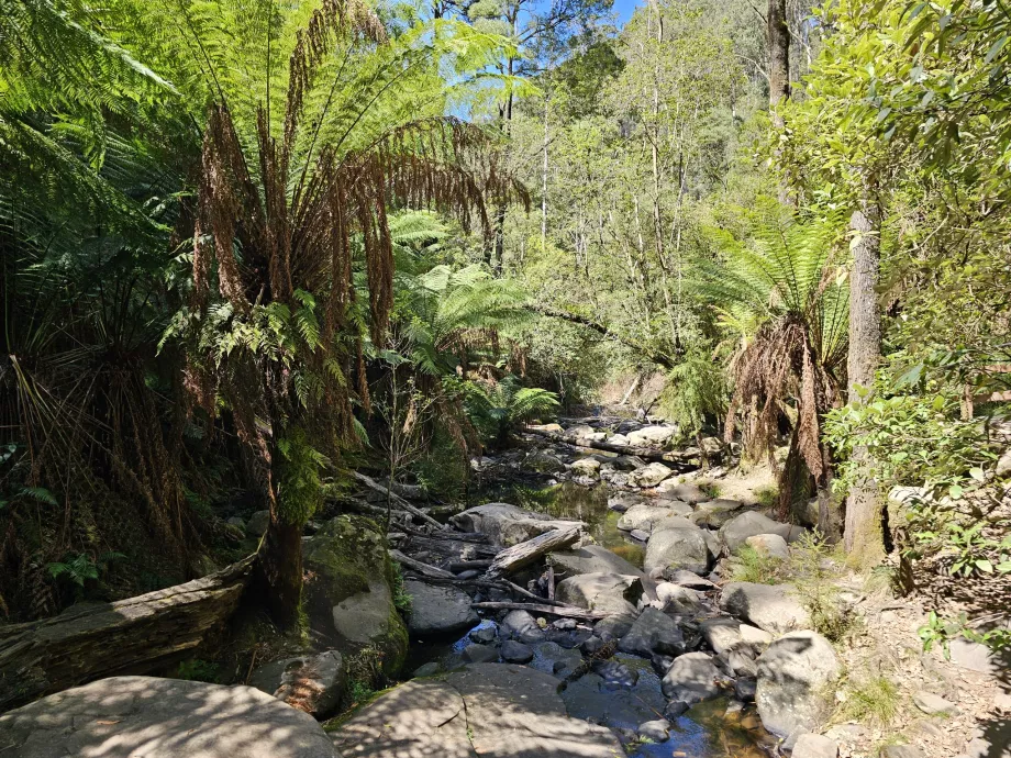 Cascada Erskine