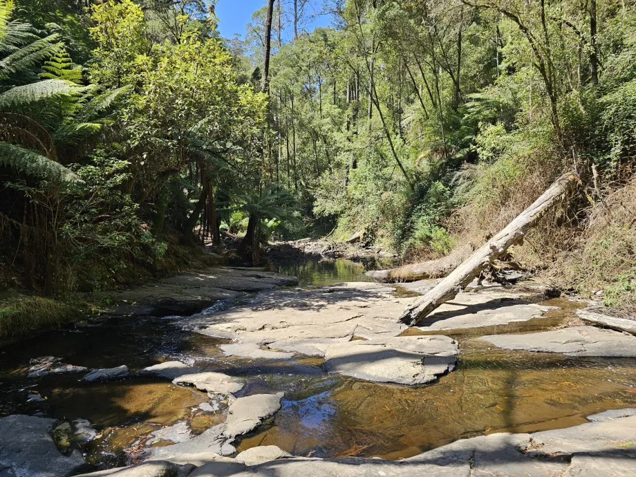 Cascada Erskine