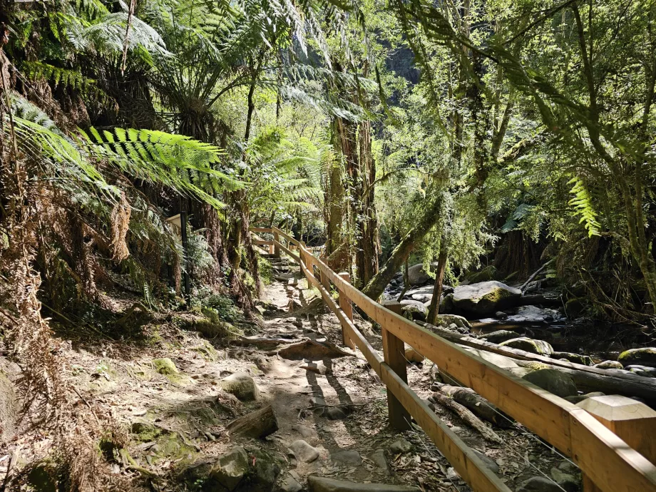 Cascada Erskine