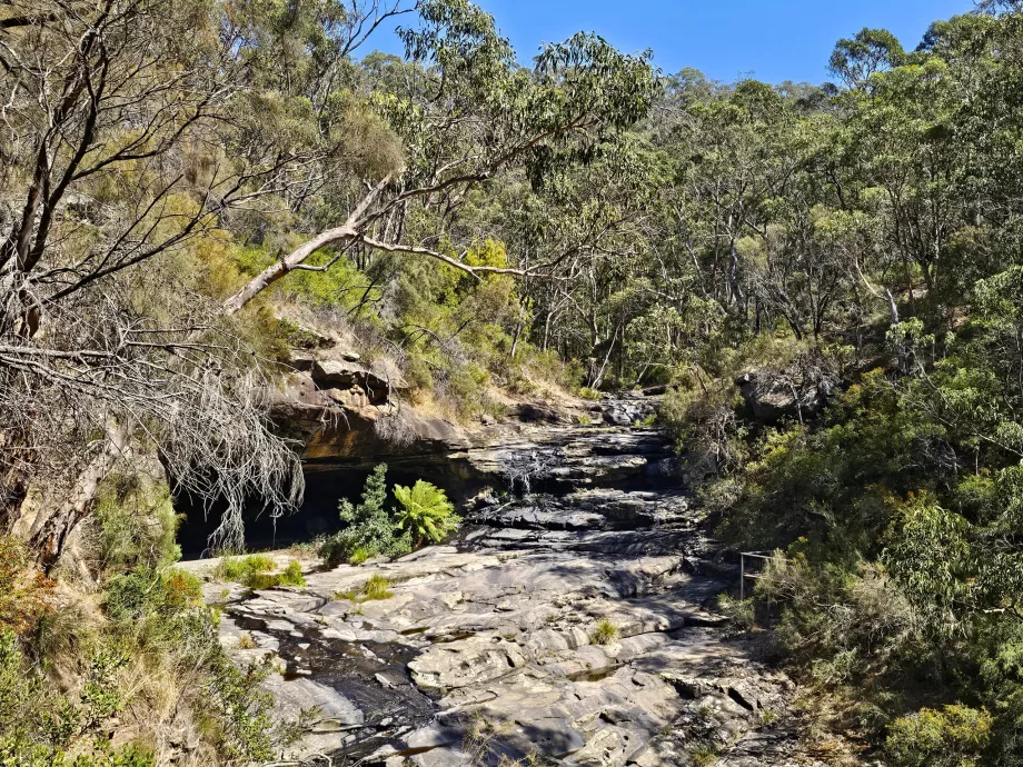 Cascada Sheoak